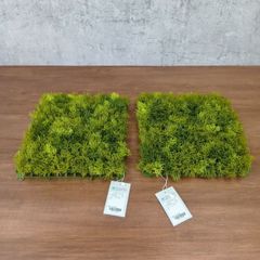 アスカ　マグノリアリーフ12本セット マグノリアリーフ12本セット タグ付き - メルカリ