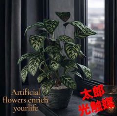 光触媒　人工観葉植物　ウォールグリーン　フェイクグリーン　盆栽フィカス1916 光触媒 人工観葉植物 ウォールグリーン フェイクグリーン 盆栽フィカス