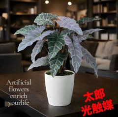 光触媒 人工観葉植物 ウォールグリーン フェイクグリーン エレガンス