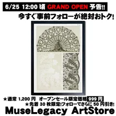A3 アートポスター モーリス ベルヌーイ 孔雀 幾何学模様 グラフィックアート アールヌーヴォー ヴィンテージ レトロ 伝統工芸 レース調 壁掛け 部屋 模様替え インテリア おしゃれ 額縁なし【ミューズNo.00008】