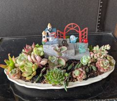 多肉植物 寄せ植え 恐竜フィギュア プランター インテリア 多肉植物 寄せ植え 恐竜フィギュア プランター インテリア - メルカリ