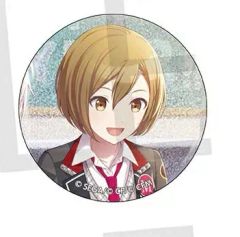 雪ノ下雪乃 由比ヶ浜結衣 缶バッジ やはり俺の青春ラブコメはまちがっ