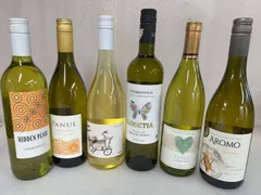 ●世界のシャルドネ 辛口 白ワイン 飲み比べ750ml 6本セット　X000E8Q0B1/004233のサムネイル