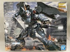 MG ガンダムアストレイノワール SEED DESTINY シードデスティニー