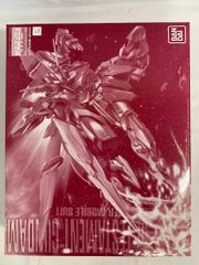 [미개봉] 1/100 MG ZGMF-X12A/RGX-00 테스타먼트 건담 [기동전사 건담 SEED DESTINY ASTRAY