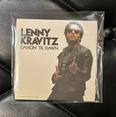 2026年最新】lenny kravitz レコードの人気アイテム - メルカリ