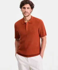 アルファニ メンズ アウター ニット・セーター 半袖 Alfani MenshortSleeve Textu red Colla red Sweater True Siennaのサムネイル