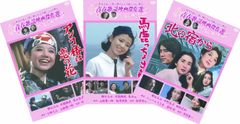 廃盤 セル盤 DVD 連続ドラマW きんぴか 3枚組 中井貴一 浅田次郎