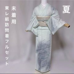 極美品 さんび 東レシルック 紗 小紋 フルセット 夏大島風 洗える高級