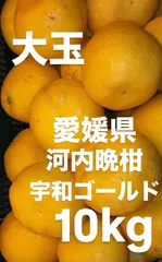 愛媛県産　河内晩柑　宇和ゴールド　柑橘　10kgのサムネイル