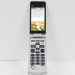 docomo ドコモ mova ムーバ F212i ガンメタ 極美品 - メルカリ