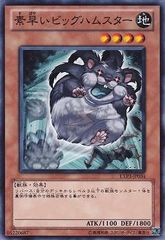 遊戯王】素早いビッグハムスター 3枚 EXP3-JP034 MF-166 - メルカリ