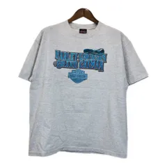 HARLEY DAVIDSON ハーレーダビッドソン 半袖Ｔシャツ グレー(メンズ XL)中古 古着 T5285のサムネイル