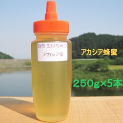 食品 ✡️アカシア蜜10本 生はちみつ 自家製蜂蜜
