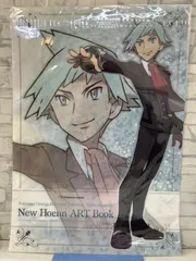 【D4-43】◇ 中古　ポケモン　New Hoenn ART BooK 特典　クリアファイルのサムネイル