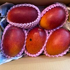 訳あり超特大5L】宮崎完熟マンゴー5玉約3.6kg - メルカリ