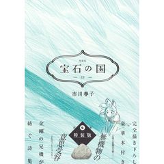 宝石の国 特装版 13巻 市川春子 最終巻 限定品 新品 未開封 - メルカリ