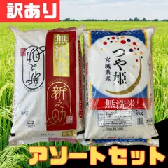 訳あり 5kg×2袋セット 計10kg つや姫 無洗米新之助 パールライス お米 精米 白米 お得 格安 爆買 セール まとめ買い【北海道/沖縄/離島発送不可】のサムネイル
