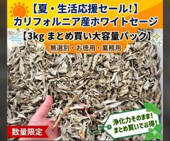 Anna Reine Outlet 】ホワイトセージ リーフ&クラッシュ 50g 無選別 
