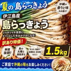 常温最短発送 道北産 朝採り天然行者ニンニク 1kg - メルカリ
