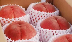 ☆7名様先着お値引き品☆【等級秀品です☆】和歌山産もも４～５玉箱☆白鳳桃☆のサムネイル