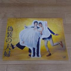 星野源 STRANGER IN BUDOKAN DVD 2枚組 ライブ 日本武道館 ビクター