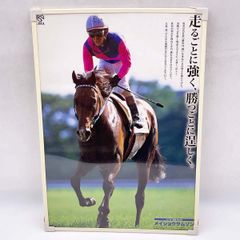 ◎ヒーロー列伝 クリアファイル JRA No.48 テイエムオペラオー