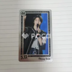 Stray Kids アイエン Stray Kids World Tour dominATE JAPAN RANDOM LIVE PHOTO CARD