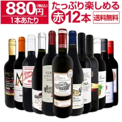 赤ワイン 12本 セット 第95弾 1本あたり880円 採算度外視の大感謝のサムネイル