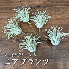 アスカ　マグノリアリーフ12本セット マグノリアリーフ12本セット タグ付き - メルカリ