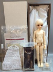 フルチョイス SDM55 女の子ボディ ボークス製 スーパードルフィー 本体 