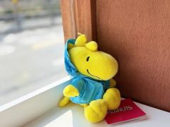新品未使用】ディズニーランド スプラッシュマウンテン うさぎどん