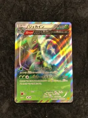 ポケモンカード ジュカイン R XYs 006/070 「ガイアボルケーノ」「タイダルストーム」のサムネイル