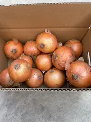 [農家直送]送料無料 淡路島産 玉ねぎ ターザン ５kg （箱込）☆秀品☆のサムネイル
