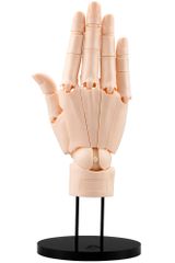 AT21 ARTIST SUPPORT ITEM 핸드 모델/R -PALE ORANGE-