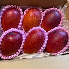 訳あり】宮崎完熟マンゴー 11玉 約4.1kg - メルカリ