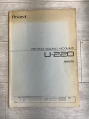 2026年最新】ローランド U-220の人気アイテム - メルカリ