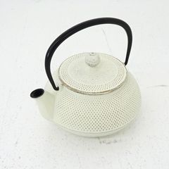 南部鉄器 岩鋳 アンシャンテ ジャポン ティーポット カモミール 販売