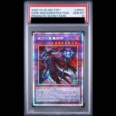 PSA10】黒き竜のエクレシア プリズマ プリシク - メルカリ