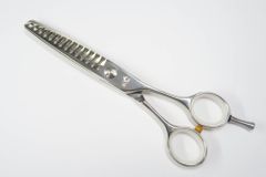 Bランク【FalCo SCISSORS ファルコシザーズ】 シザー 美容師・理容師