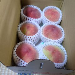 あらかわの桃☆土曜日限定価格！☆日川白鳳☆農家直送15個送料込みお得