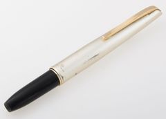 プラチナ F03細字万年筆 レッド 新品 8本 - メルカリ