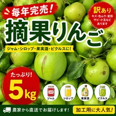 摘果りんご 約5kg 訳あり 加工用 ジャム シロップ 果実酒のサムネイル