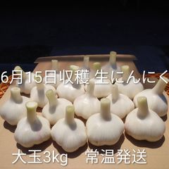 26年産 低農薬 生にんにく 5kg 福地ホワイト6片 サイズ L~2L - メルカリ
