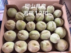 B干し杏#019 ドライフルーツ ドライアプリコット 玉井フルーツ - メルカリ