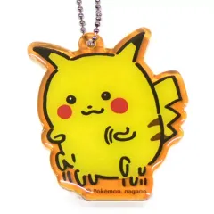 2026年最新】24じかんポケモンchu ピカチュウの人気アイテム - メルカリ