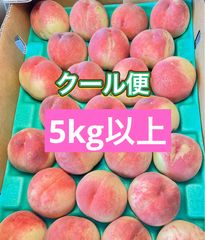 高糖度 日川白鳳 甘い秀品 もも 5kg以上 ピーチ 平均糖度14度以上 