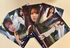 乃木坂46 菅原咲月 生写真 5枚セット 最後に階段を駆け上がったのは