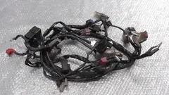TACT４スト ベーシック　AF79-1101xxx　の　メインハーネス:#1781753532のサムネイル