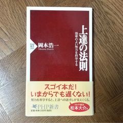 능력의 법칙 효율적인 노력을 과학하는 오카모토 코이치 PHP 신서 자기 계발 공부법